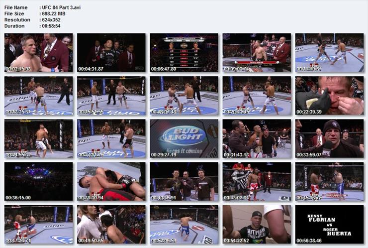 UFC 84 - UFC 84 Part 3.jpg