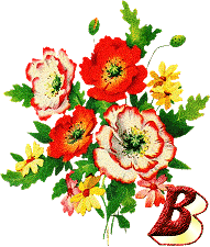 Alfabety z Bukietem kwiatów - 021 - B.gif