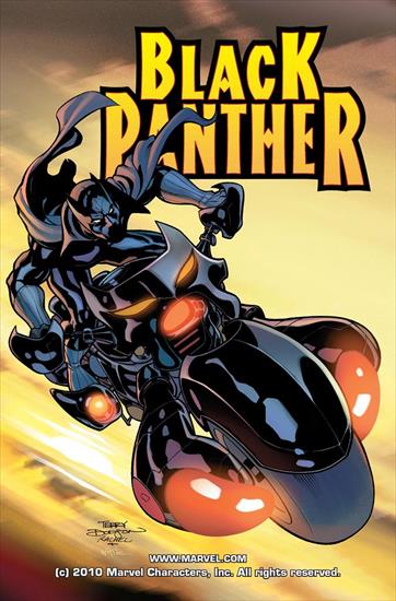 Black Panther v4 2005-2008 - Black Panther 005 2005 digital Minutemen-Faessla.jpg