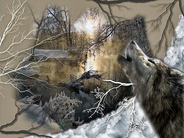 Inspiracje2 - wolf.jpg