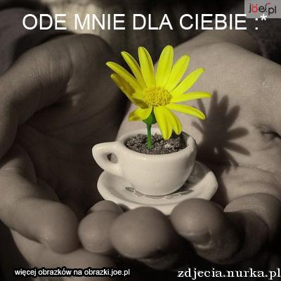 Dla Ciebie - obrazki.joe.pl-sub-images-ode-mnie-dla-ciebie-miniaturowy-kwiatek.gif