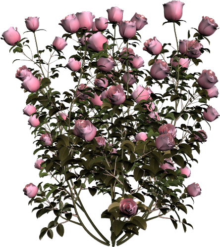 kwiaty bukiety - viragok_61.png
