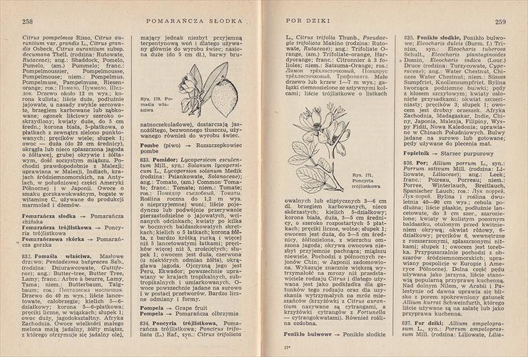Książki2 - Słownik Roślin Użytkowych 131.jpg