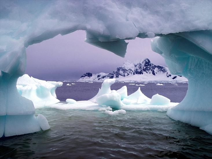 Antarktyda - Paradise Bay, Antarctica.jpg