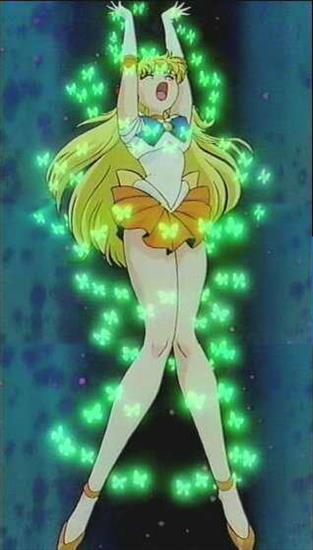 Sailor Venus1 - venus24.jpg