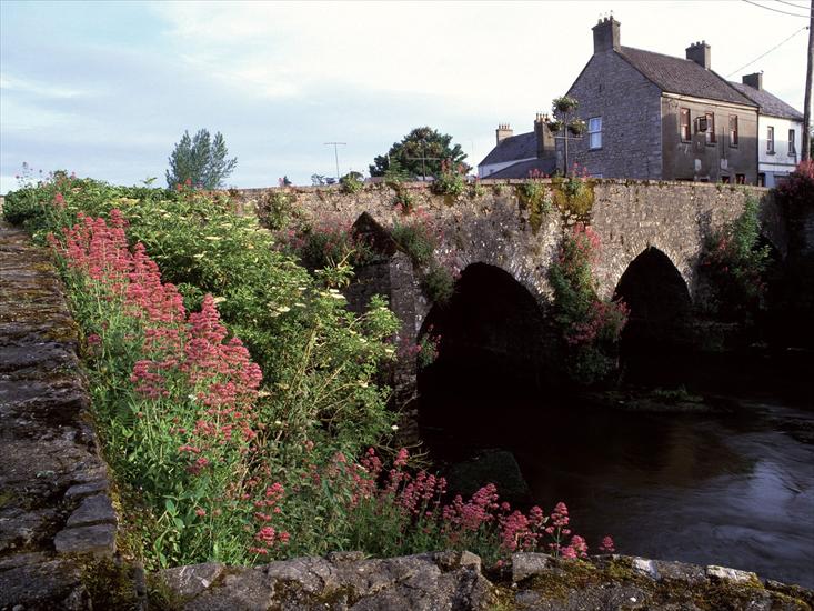 Irlandia - River_Boyne,_County_Meath,_Ireland.jpg