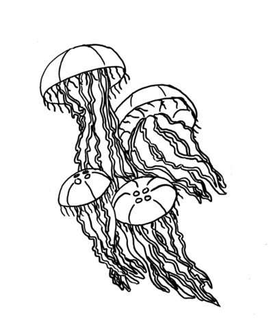 Meduzy - meduzy - kolorowanka 10.GIF