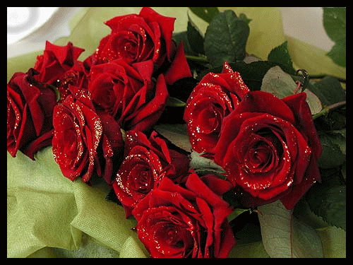 MIREK310861 - czerwone róze w wodzie.gif