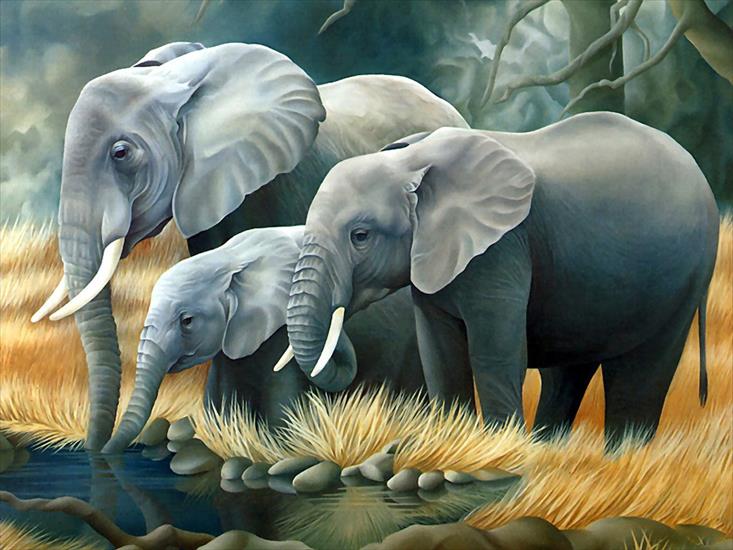 Galeria - 3d_animals_-_Elephants.jpg